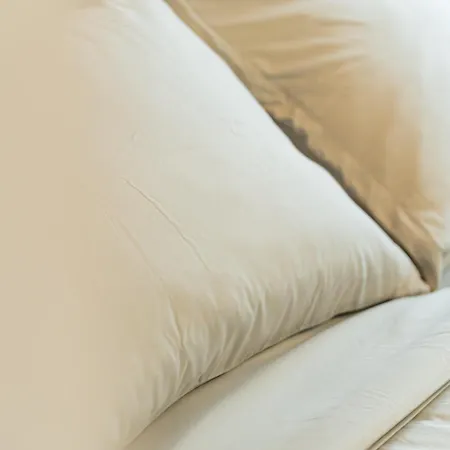 Apartment San Carlo
